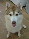 DSCF9752[1]_thumb.png